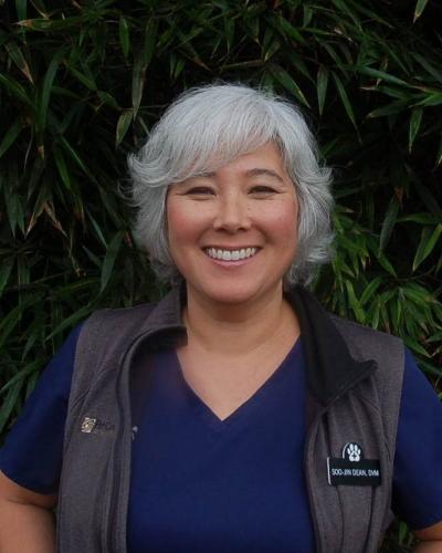 Dr. Su-Chin Dean-Griffith